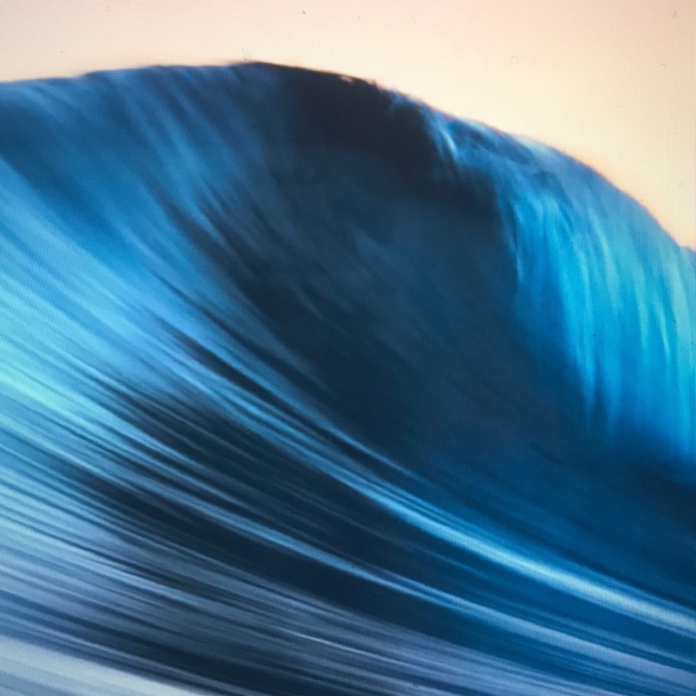 Meet your Posher, Bryan